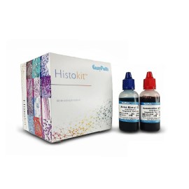 Alcian Blue PH 2,5 Sem PAS - Histokit Para 60 Colorações - EP-11-20018 - Easypath